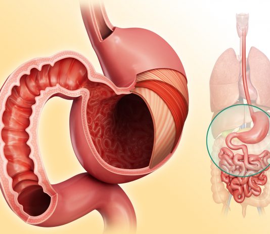 Методы диагностики заболеваний желудка, прямой и толстой кишки