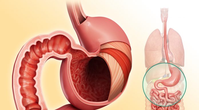 Методы диагностики заболеваний желудка, прямой и толстой кишки