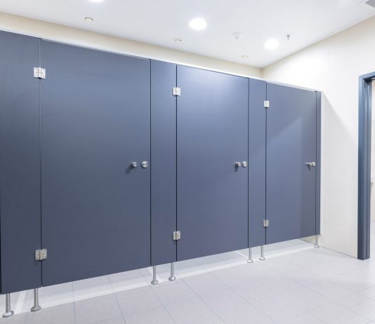 Чем уникальны сантехнические перегородки