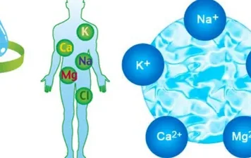 Как сохранить равновесие: простая наука о водно-солевом балансе в организме