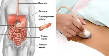 УЗИ кишечника в Казани: как выбрать клинику и подготовиться к исследованию